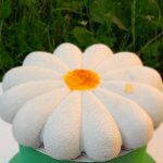 Мусові торти