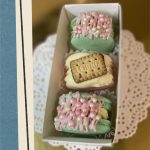 Набір макаронс