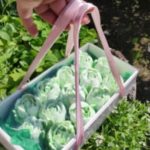 Зефірний бокс